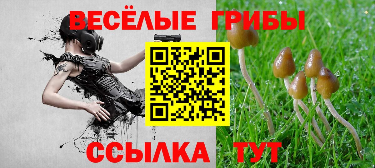 Павлово  Галлюциногенные грибы MAGIC MUSHROOMS  Псилоцибиновые грибы GOLDEN TEACHER  Вход с VPN 