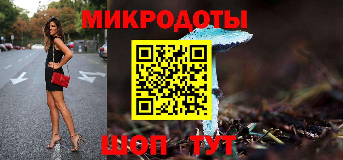 Псилоцибиновые грибы Cubensis Павлово
